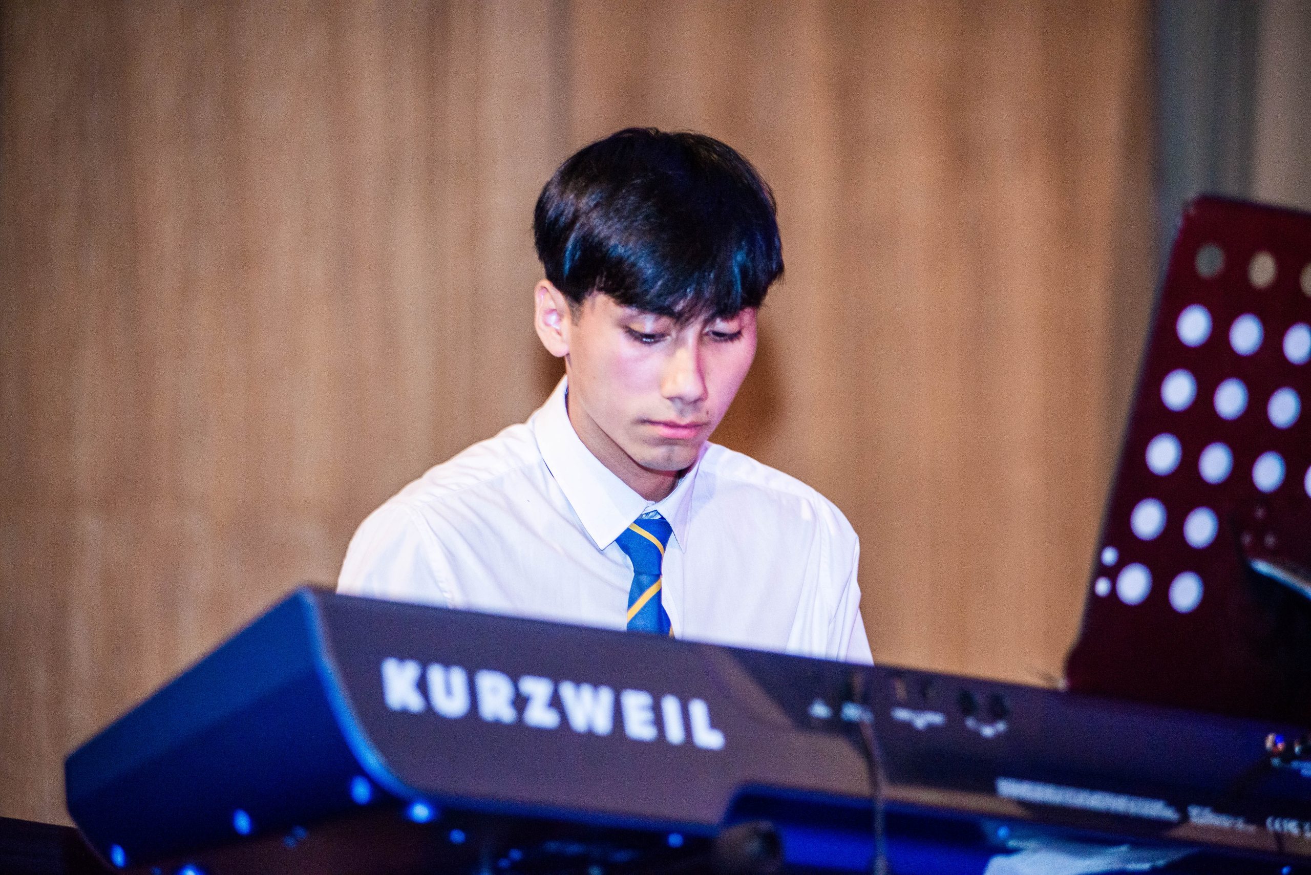 licenciatura (10)