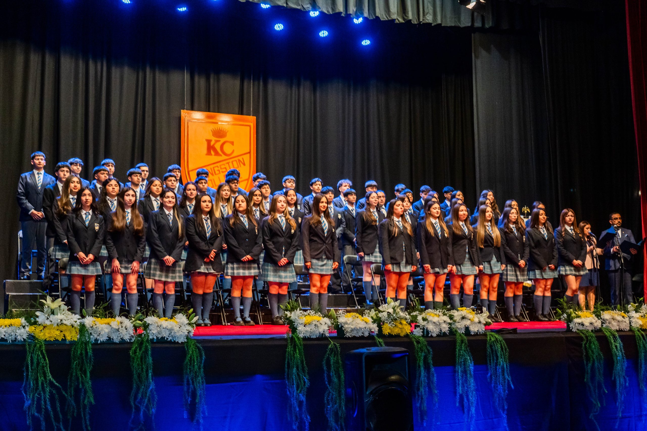 licenciatura (6)