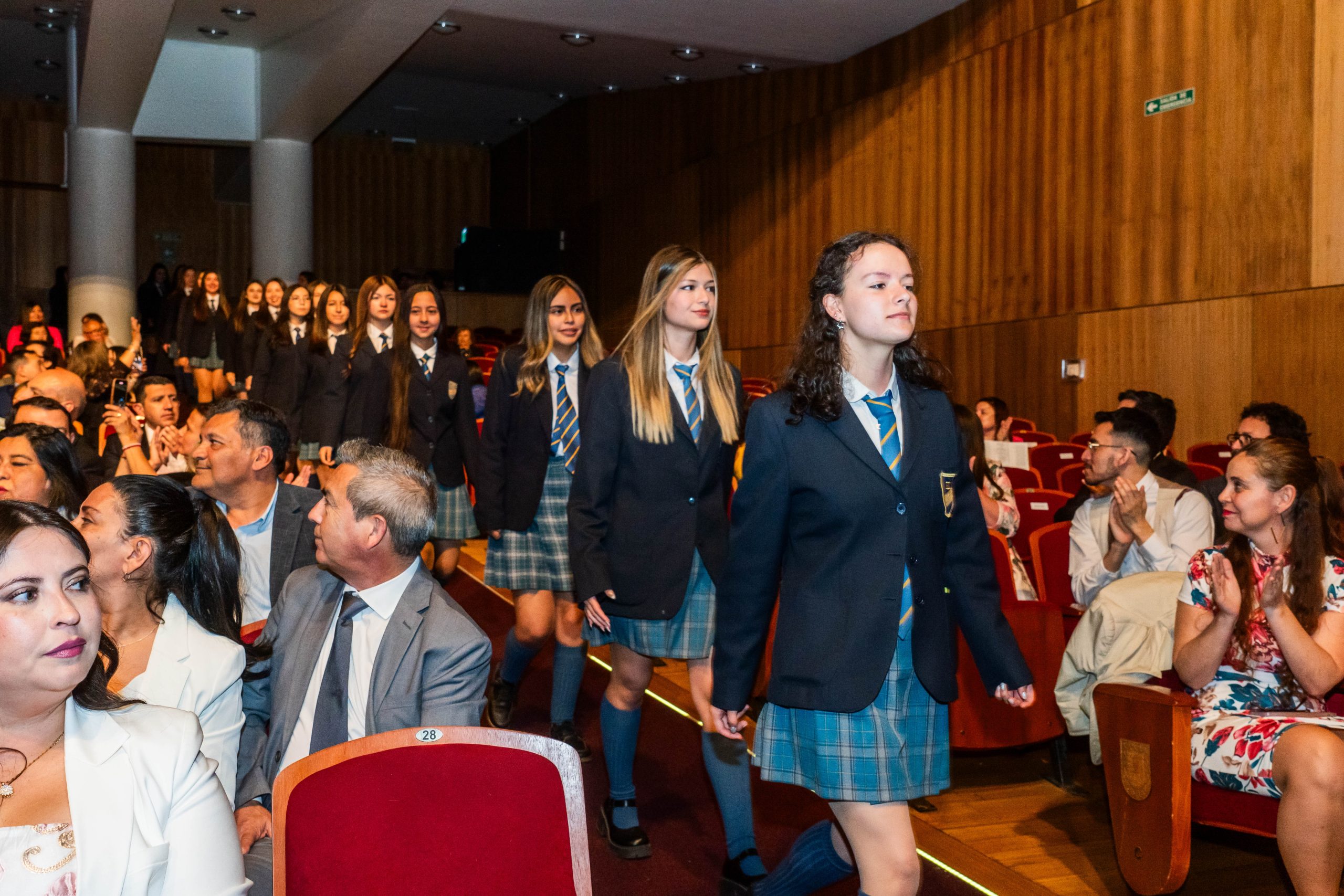 licenciatura (7)